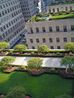 [Rockefeller+Rooftop+Gardens.jpg]