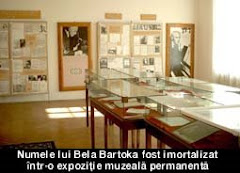 Muzeul Bela Bartok din Sannicolau Mare