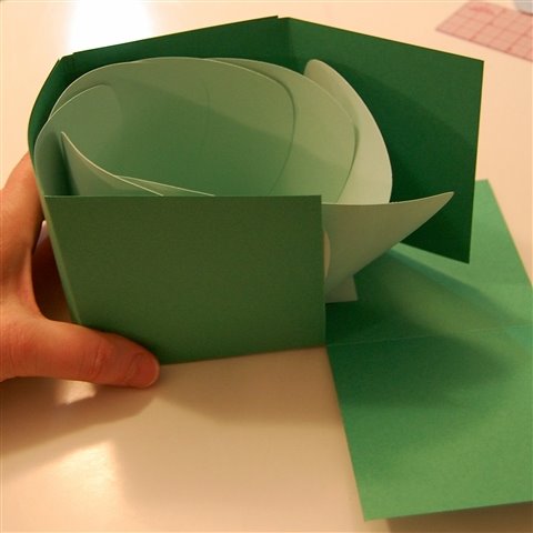 [folding+up+box+and+flaps.jpg]