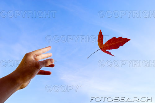 [blowing+leaf.jpg]