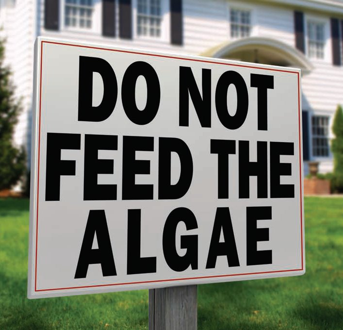 [do+not+feed+algae.bmp]