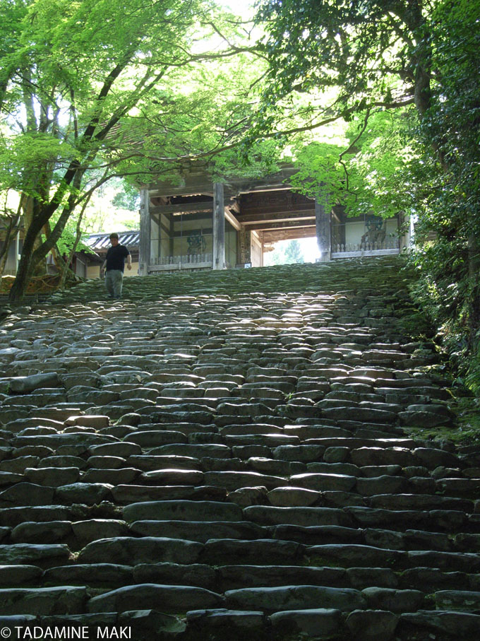 A flight of stairs 2, Jingoji Temple Kyoto