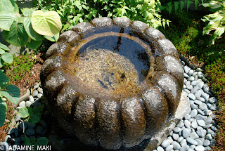 A stone basin in a garden for washing hands before tea ceremony, Kyoto, Japan