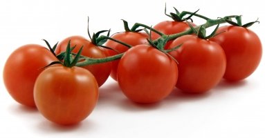 [1_cherry-tomatoes.jpg]