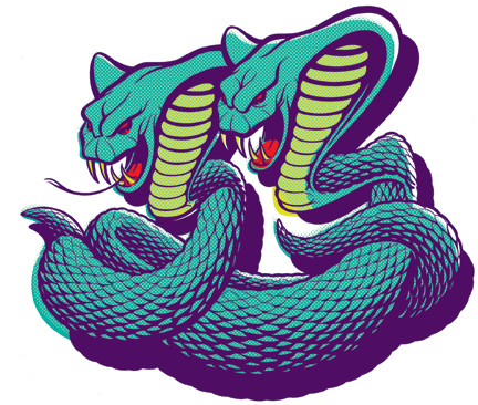 [20.Snakes_color.jpg]