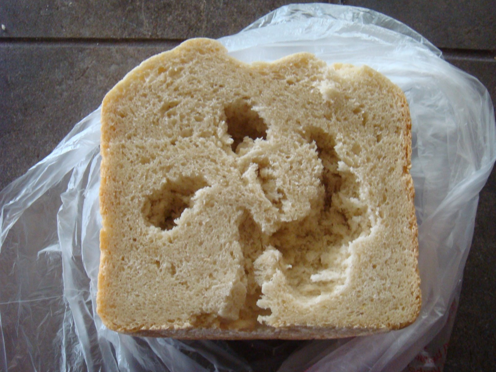 [Bread+Burrowing+(1).JPG]