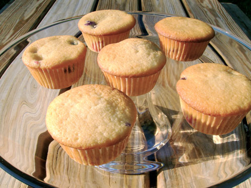 [muffins.jpg]