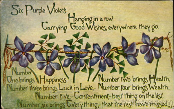 [six-purple-violets-hanging-in-a-row-flowers-and-plants-62351.jpg]