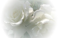 rosas+blancas.jpg