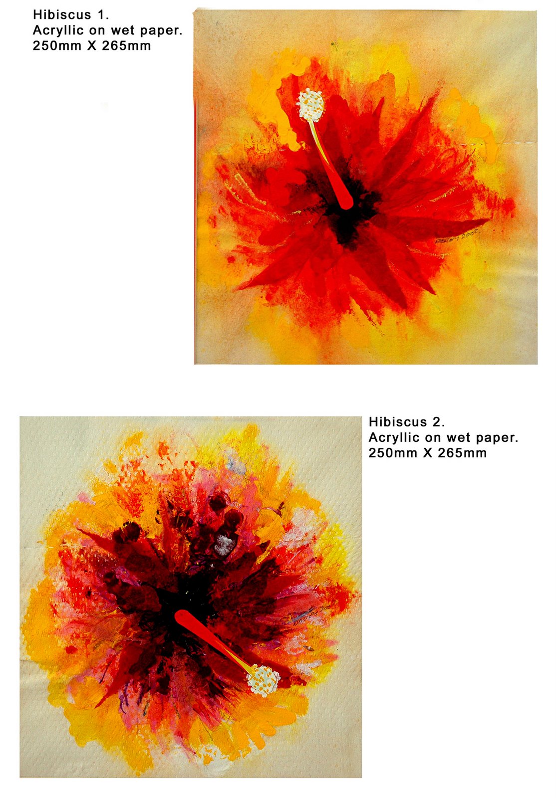 [Hibiscus1-2.jpg]