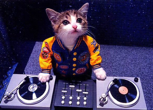 [DJ+CAT.jpg]
