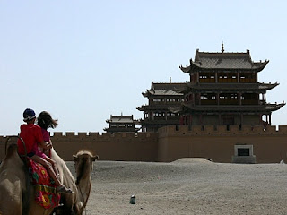 un chameau du desert en Chine