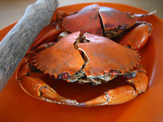 [baked_crabsmudcrabs.jpg]