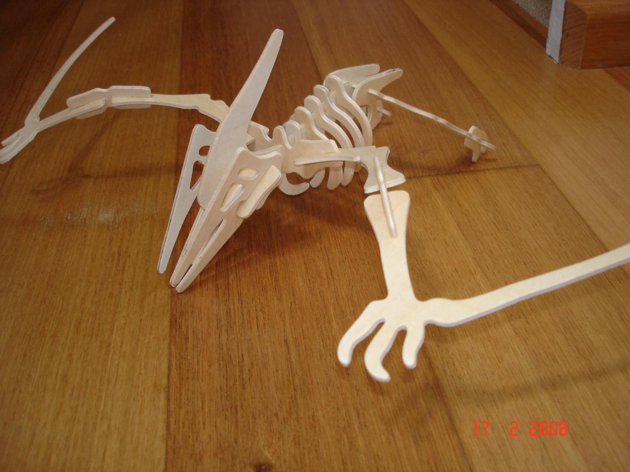 [pteranodon.JPG]