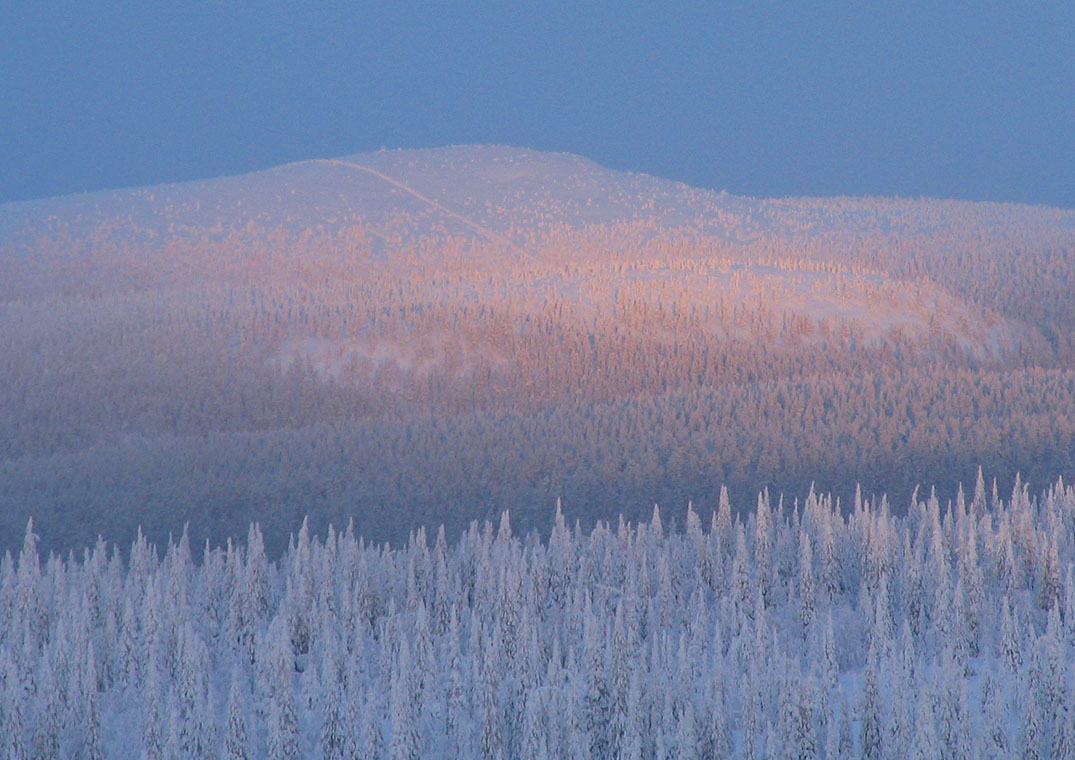 [07+01+19+January+sun+over+arctic+forest+038.jpg]