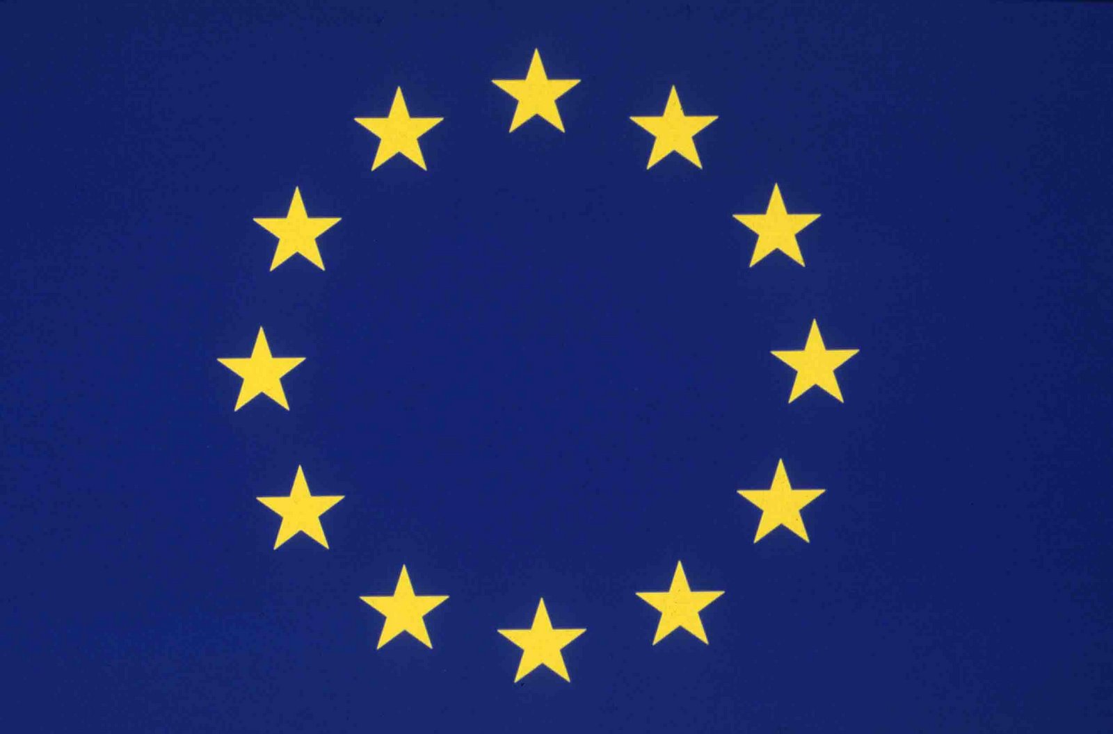 [european_flag.jpg]