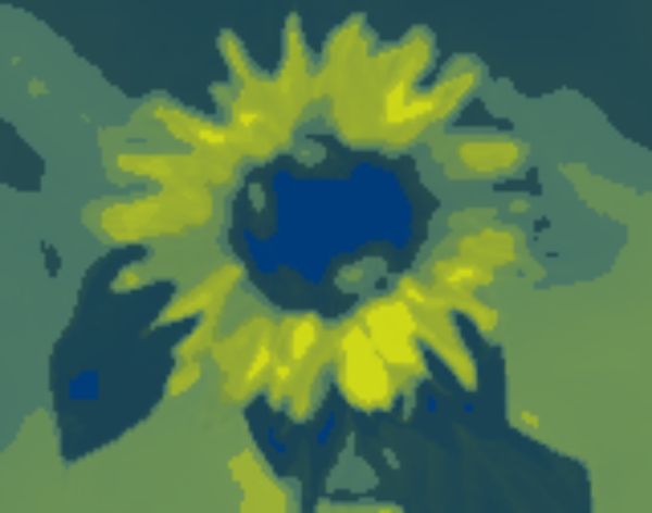 [sunflower2a.jpg]