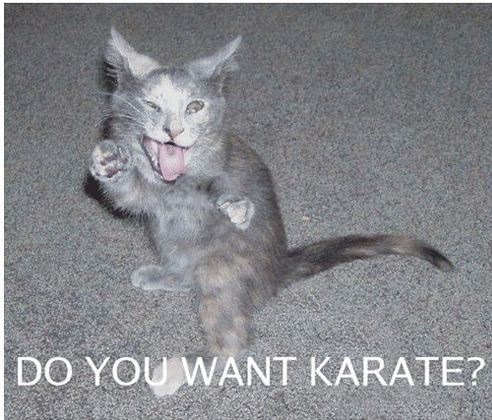 [karate.gif]