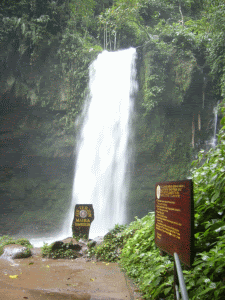 [Waterfall+Mahua.gif]