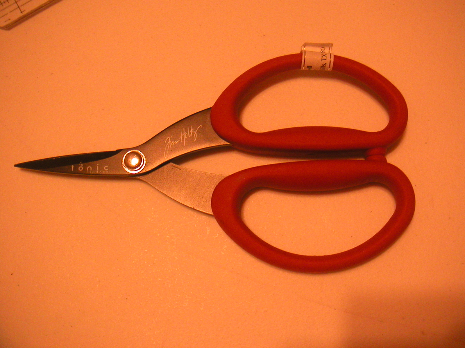 [Tonic+scissors.JPG]