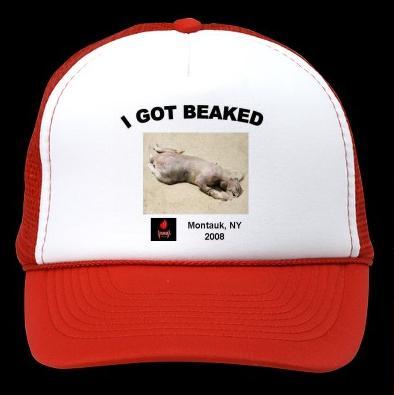 [i+got+beaked+hat.JPG]