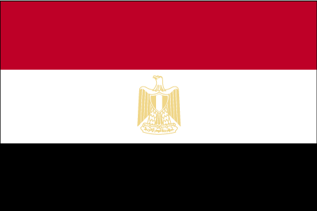 [flag_of_egypt.gif]