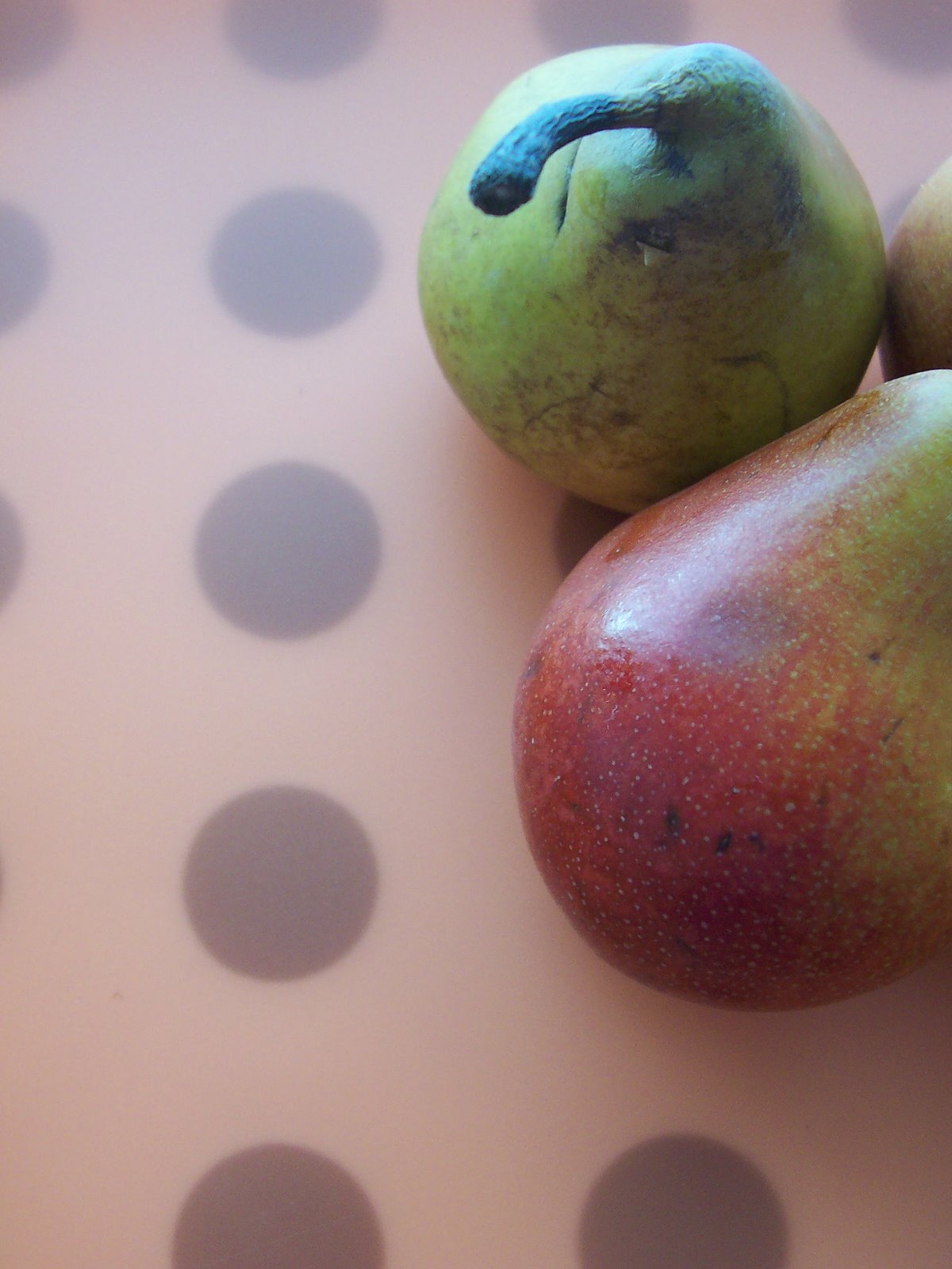[seckle+pears.jpg]