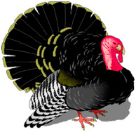 [thanksgiving_turkey_classic.jpg]