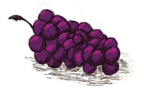 [grapes72small.jpg]