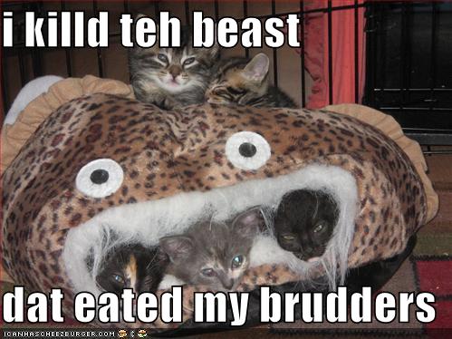 [funny-pictures-cat-killed-beast-that-ate-his-brothers.jpg]