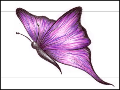 [butterfly_purple.jpg]
