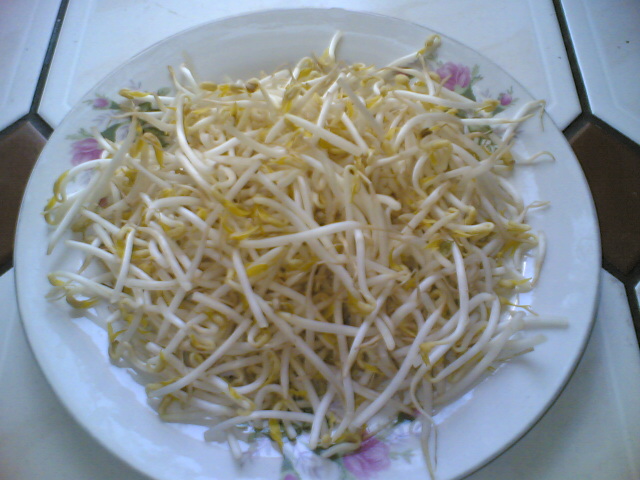 [Bean-sprouts.jpg]
