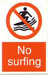 [no-surfing.jpg]