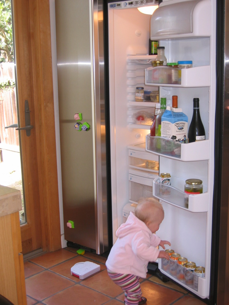 [IMG_1692+checking+out+the+fridge.JPG]