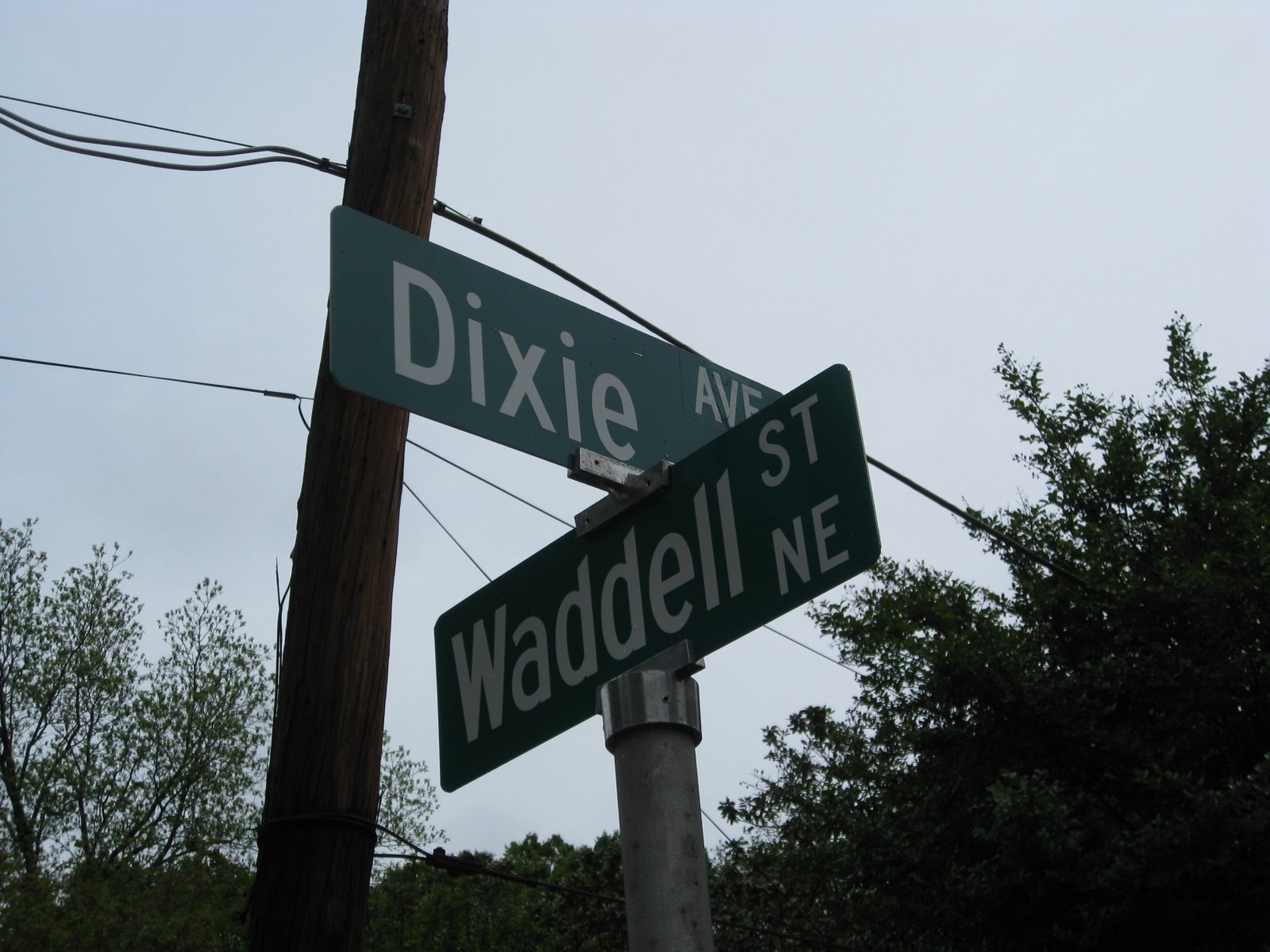 [IMG_1873+Dixie+Waddell.JPG]