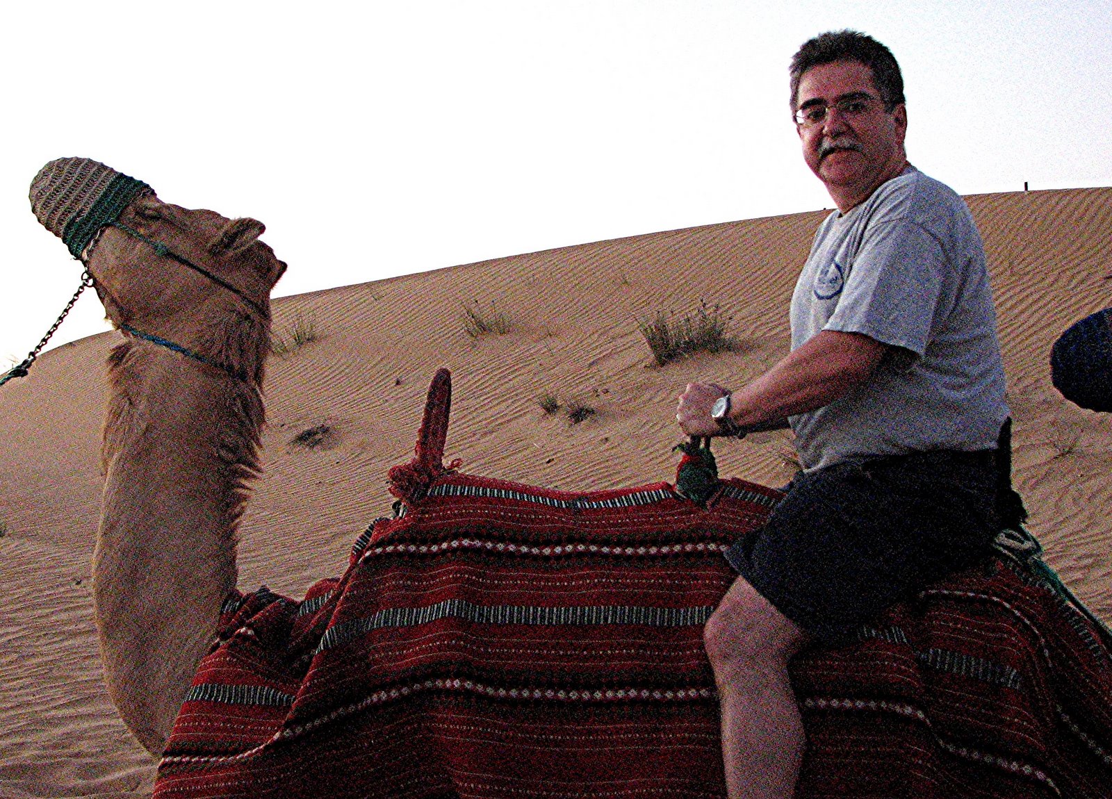 [Camel+Jockey+Bob.jpg]
