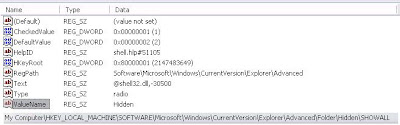 طريقة حذف فيروس Win32.Perlovga.a و Temp1.exe - Temp2.exe - C Hidden+files