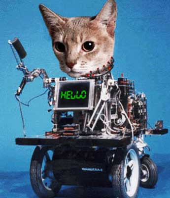 [cat robot.jpg]