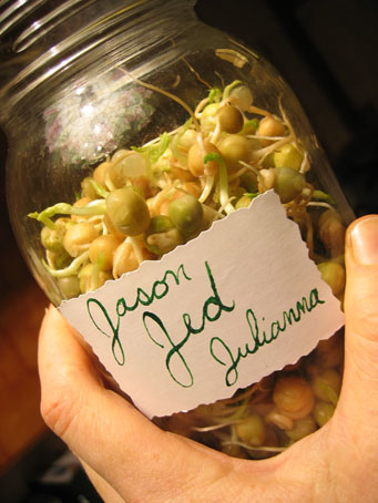 [IMG_1054_sprouts_web.jpg]