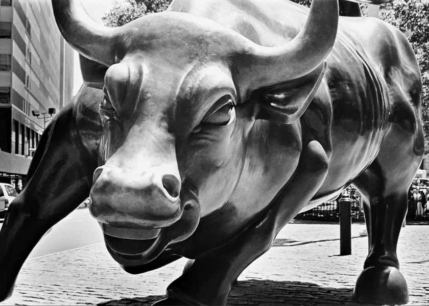 [Wall-Street-Bull.jpg]