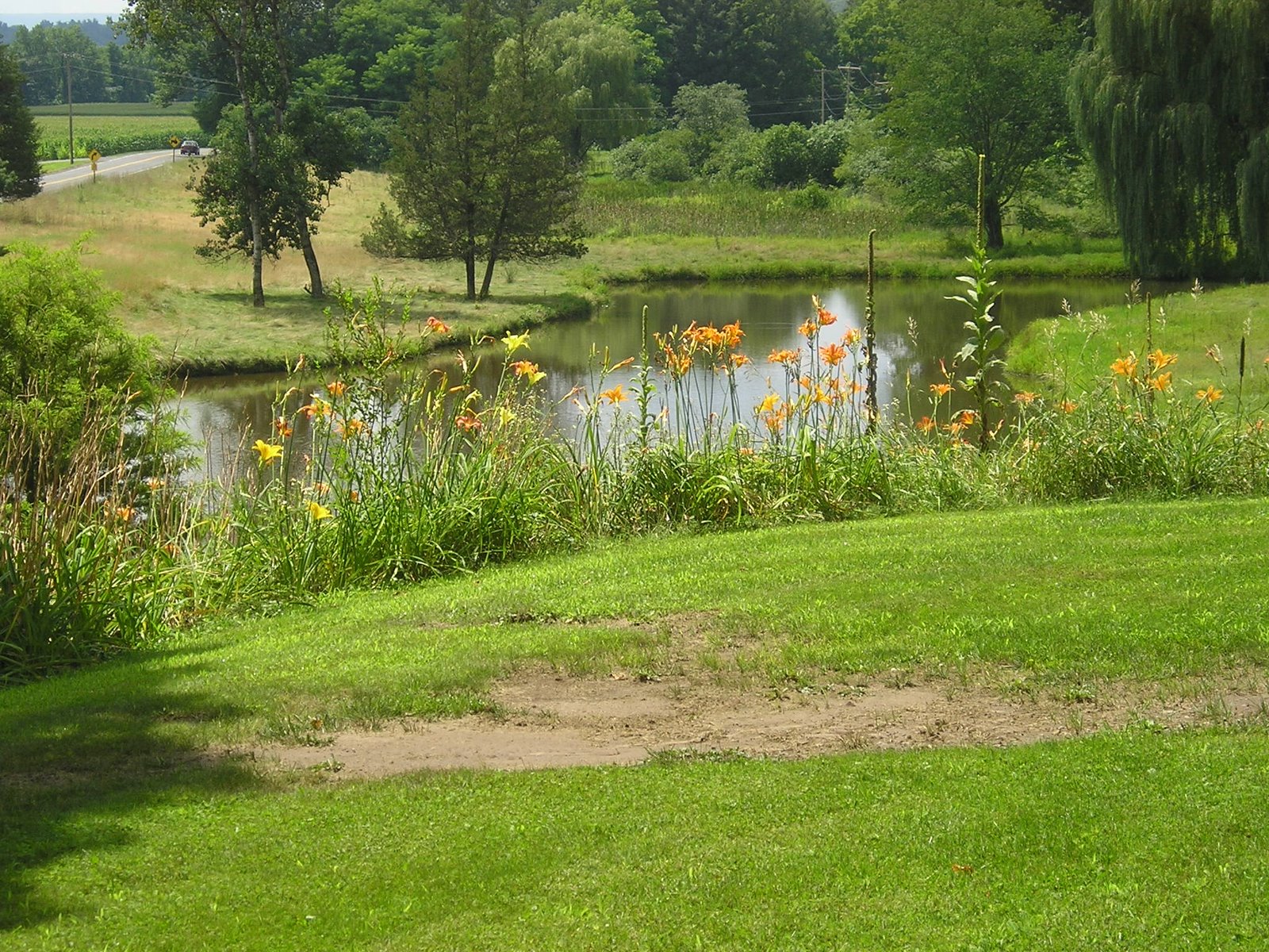 [pond.jpg]