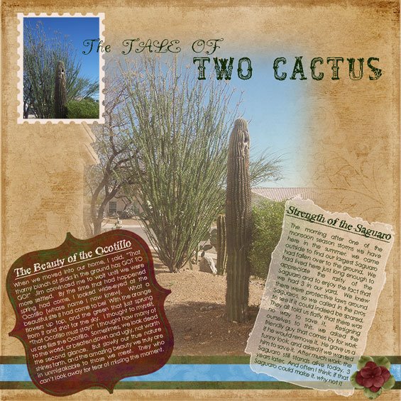 [Tale-of-2-Cactus.jpg]