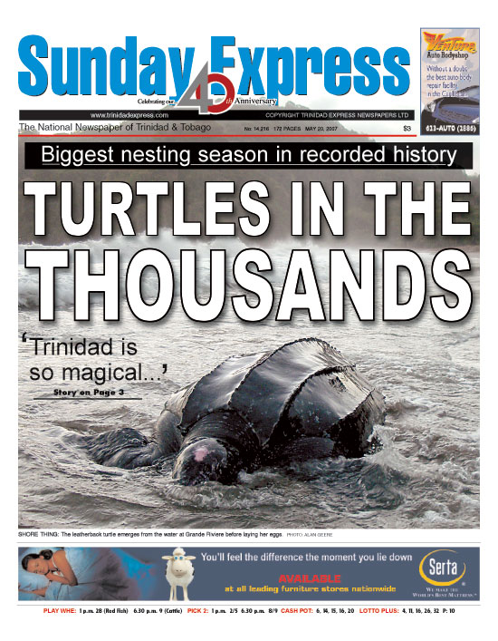 [Turtle+front+page.jpg]