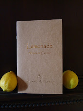 Lemonade - Notes To Cancer