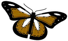 [butterfly_5.png]