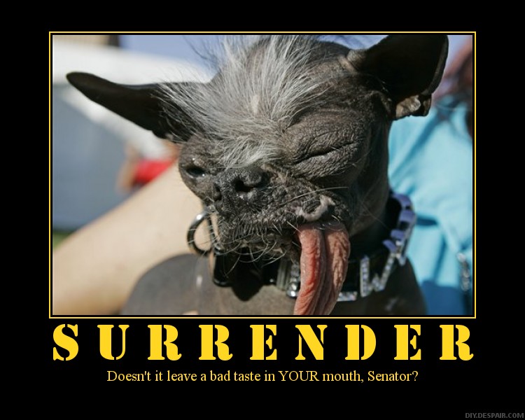 [surrender.jpg]