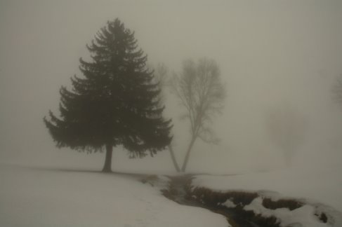[fog+at+park+1-6-08+16+edit+op.jpg]