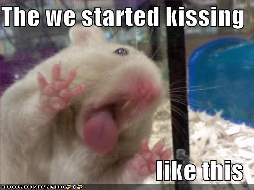 [funny-pictures-hamster-kiss-glass.jpg]