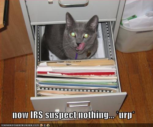 [now+irs+suspect+nothing.jpg]