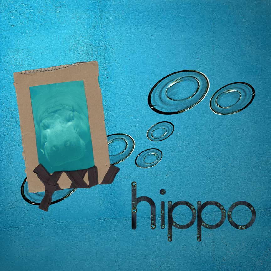 [hippo_web.jpg]